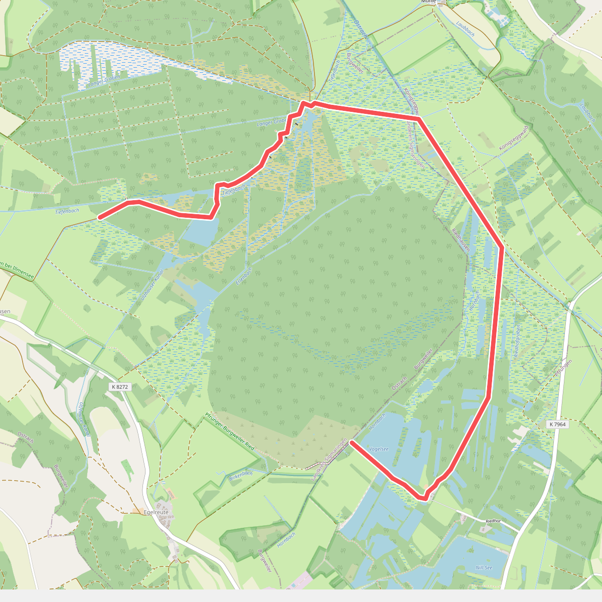 Großer Trauben