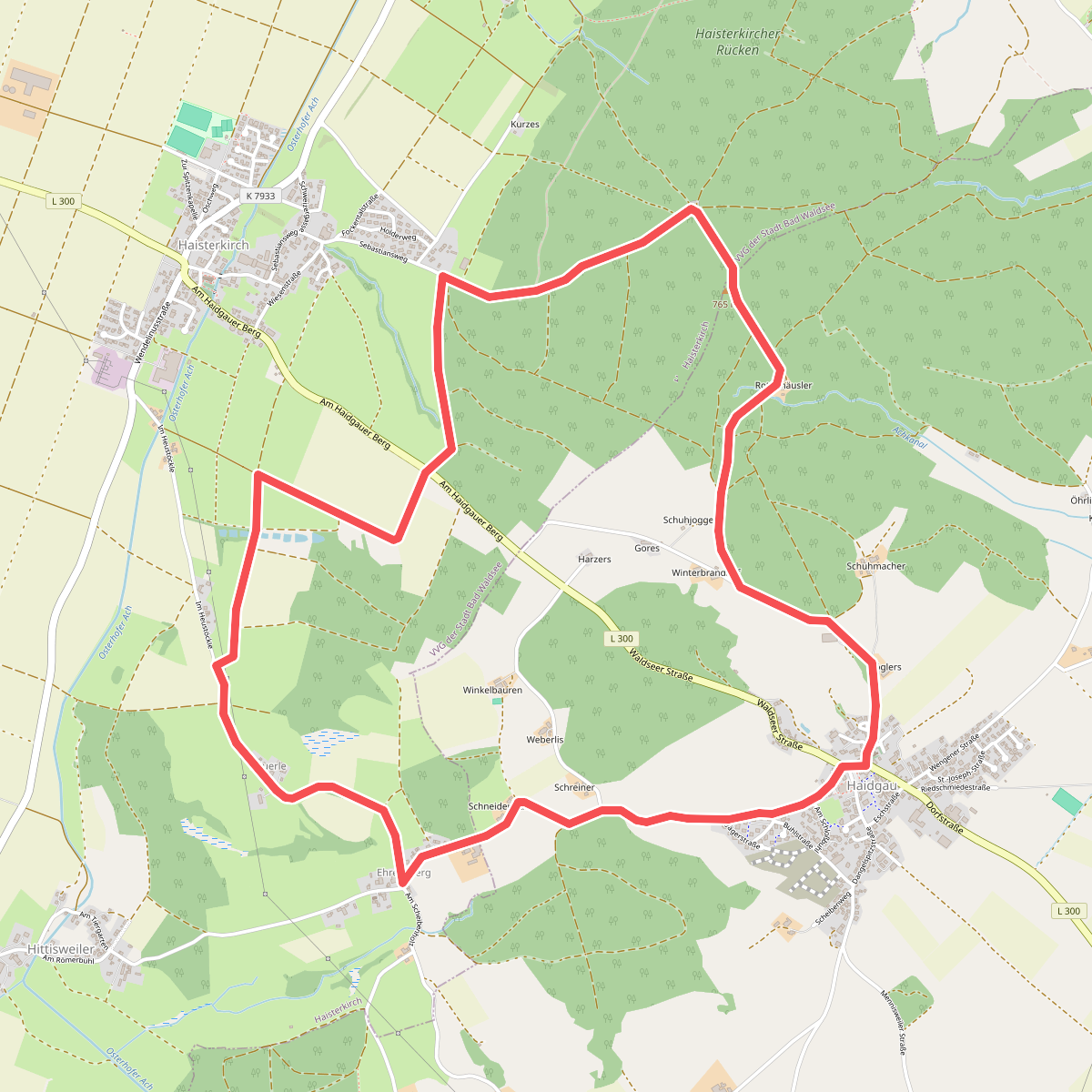 17 - Riedblick