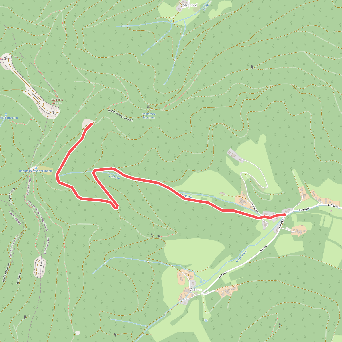 Fußbach Hintertal - Oberer Waldmattengrund