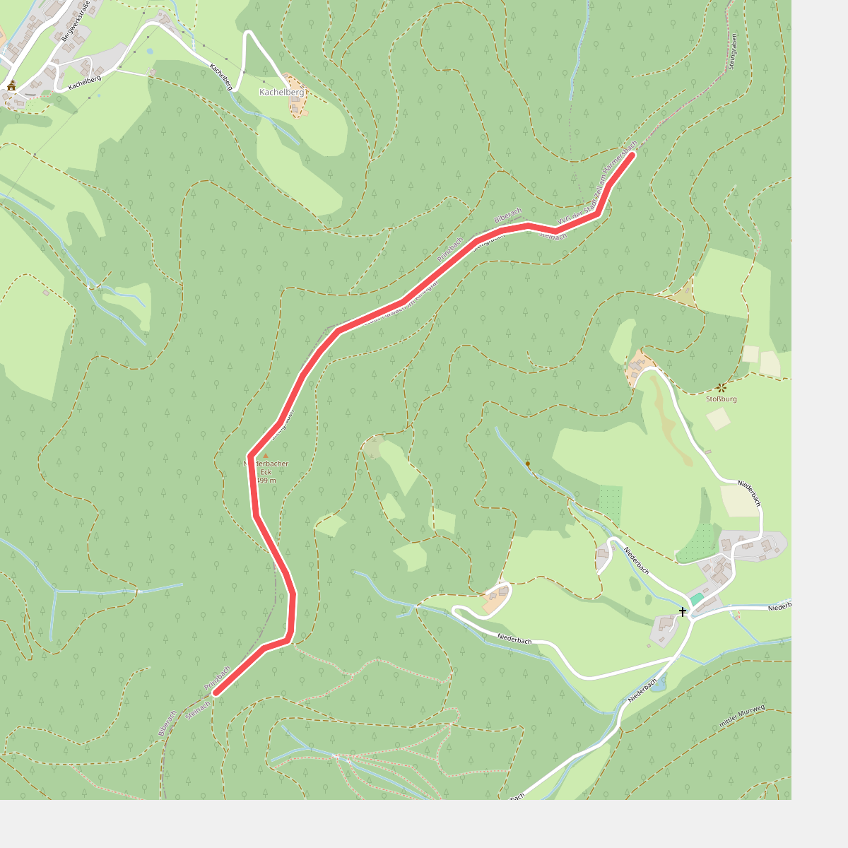 Am Steingrabenkopf - Sauhalde