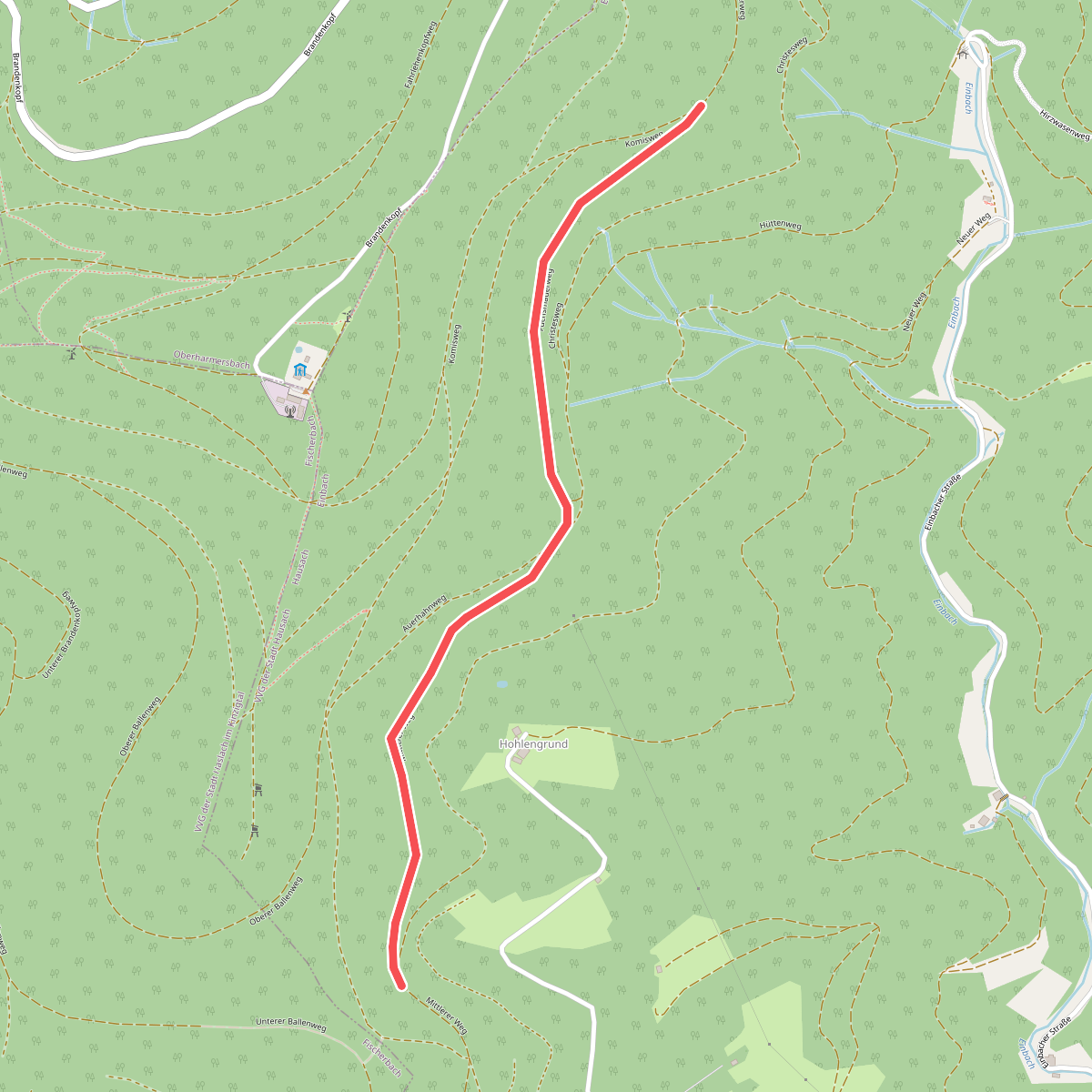 Am Ballenkopf - Am Steigleskopf