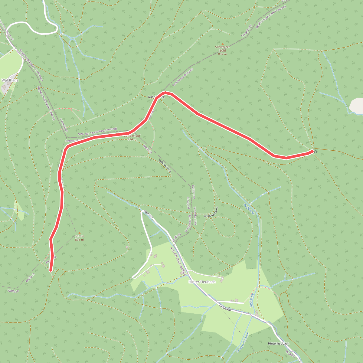 Salzlecke - Hinter Hals