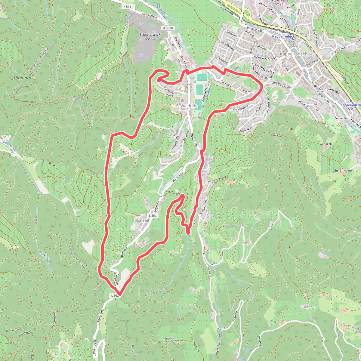 Ortenauer Weinschleife - Schwarzwald-Vogesen-Panoramarunde