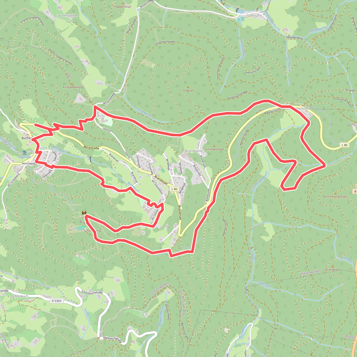 Heilklima-Wandern 4