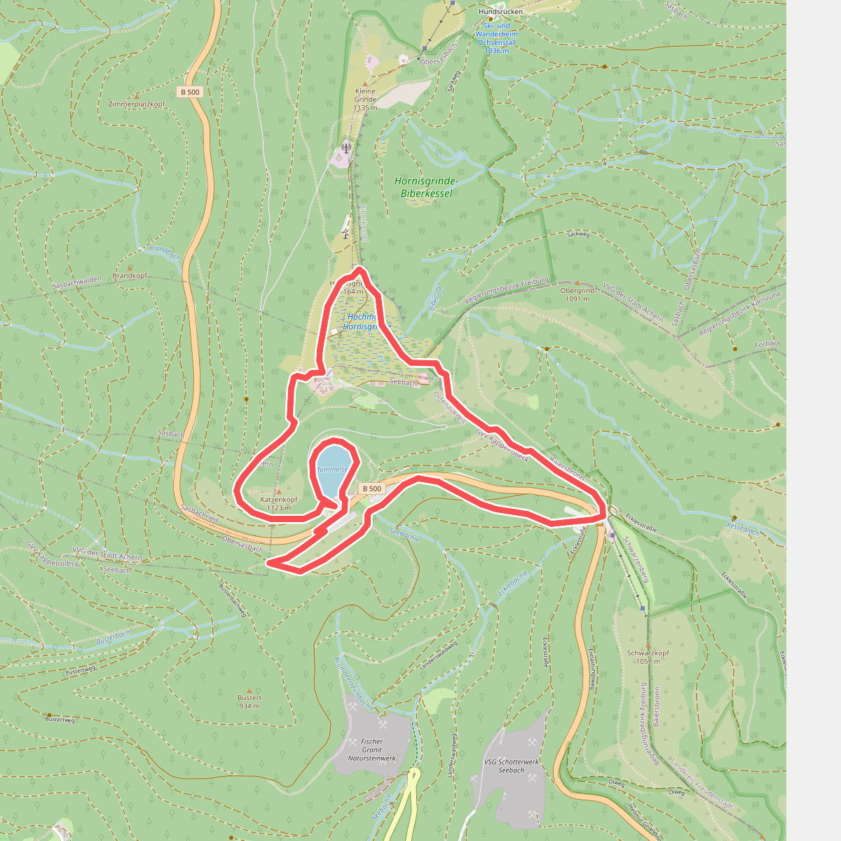Genießerpfad - Mummelsee-Hornisgrindepfad