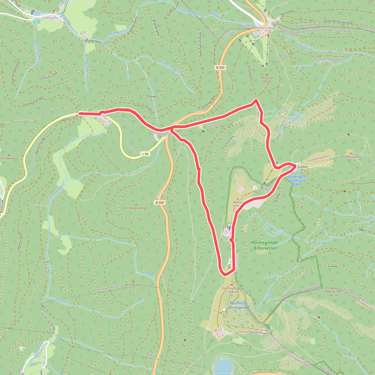 Heilklima-Wandern 6