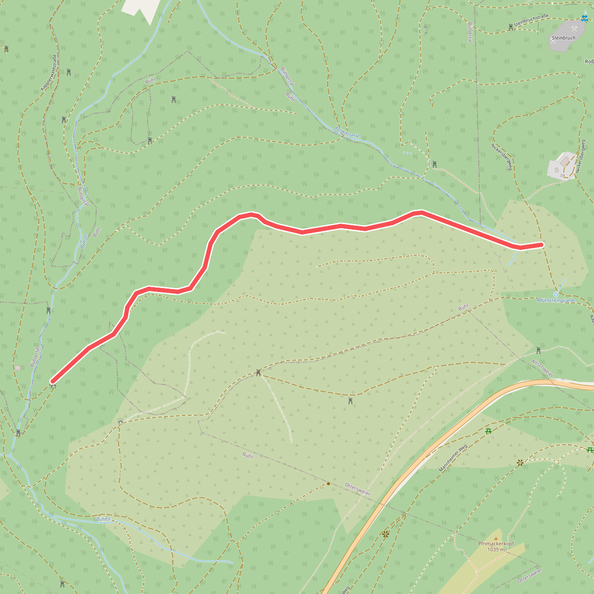 Kappler Wald-Hütte - Mühlstein