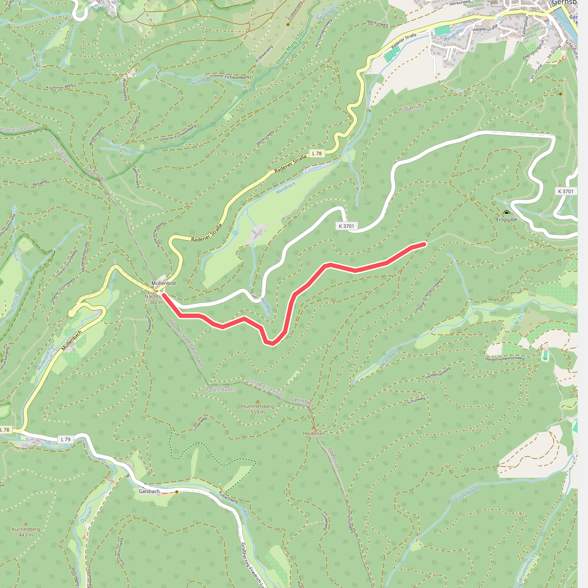 Müllenbild (Nachtigall) - Saulachkopfhütte