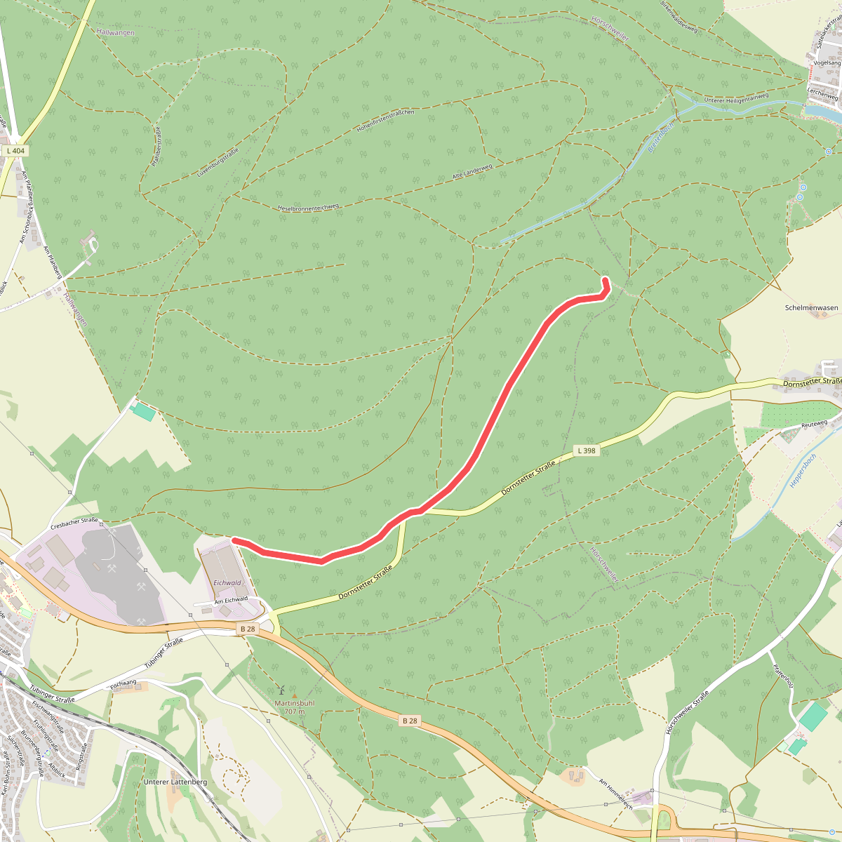 Eichwald - Hinterer Harzwald