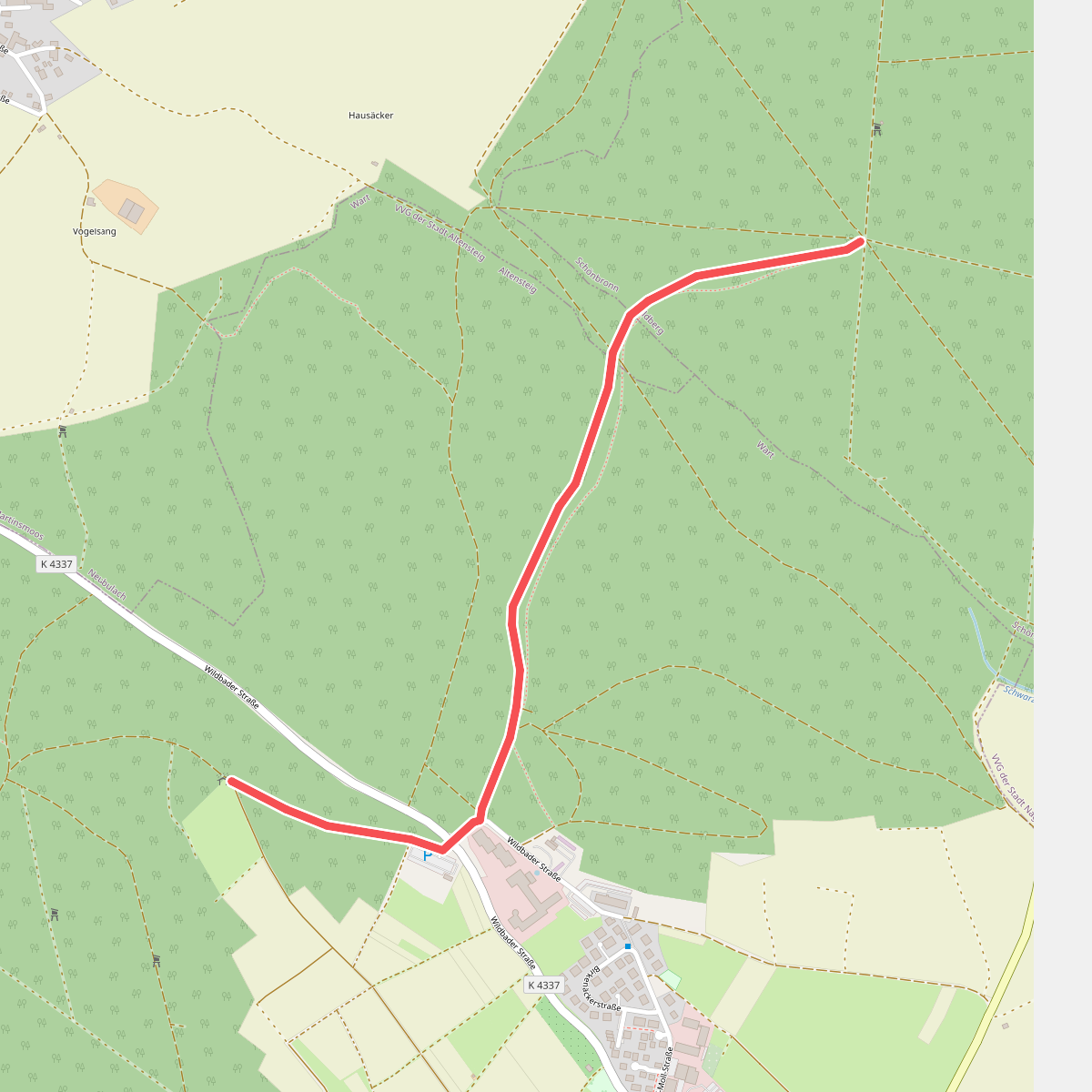 Buhlerwaldstern - Hölzle