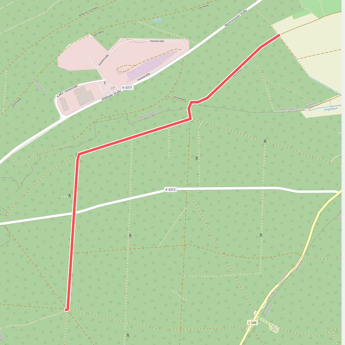 Herdweg - Buhlerwaldstern