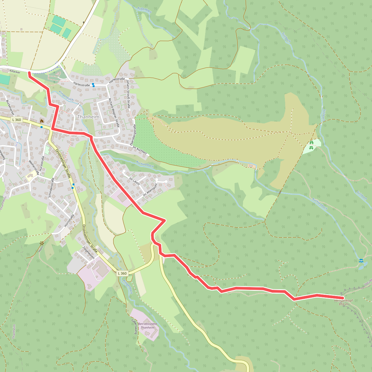 blaues Dreieck Thanheim - Heiligenkopf