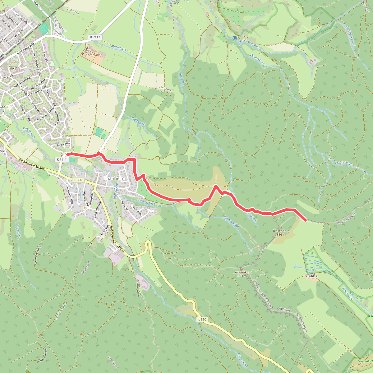 blaues Dreieck Thanheim-HW1