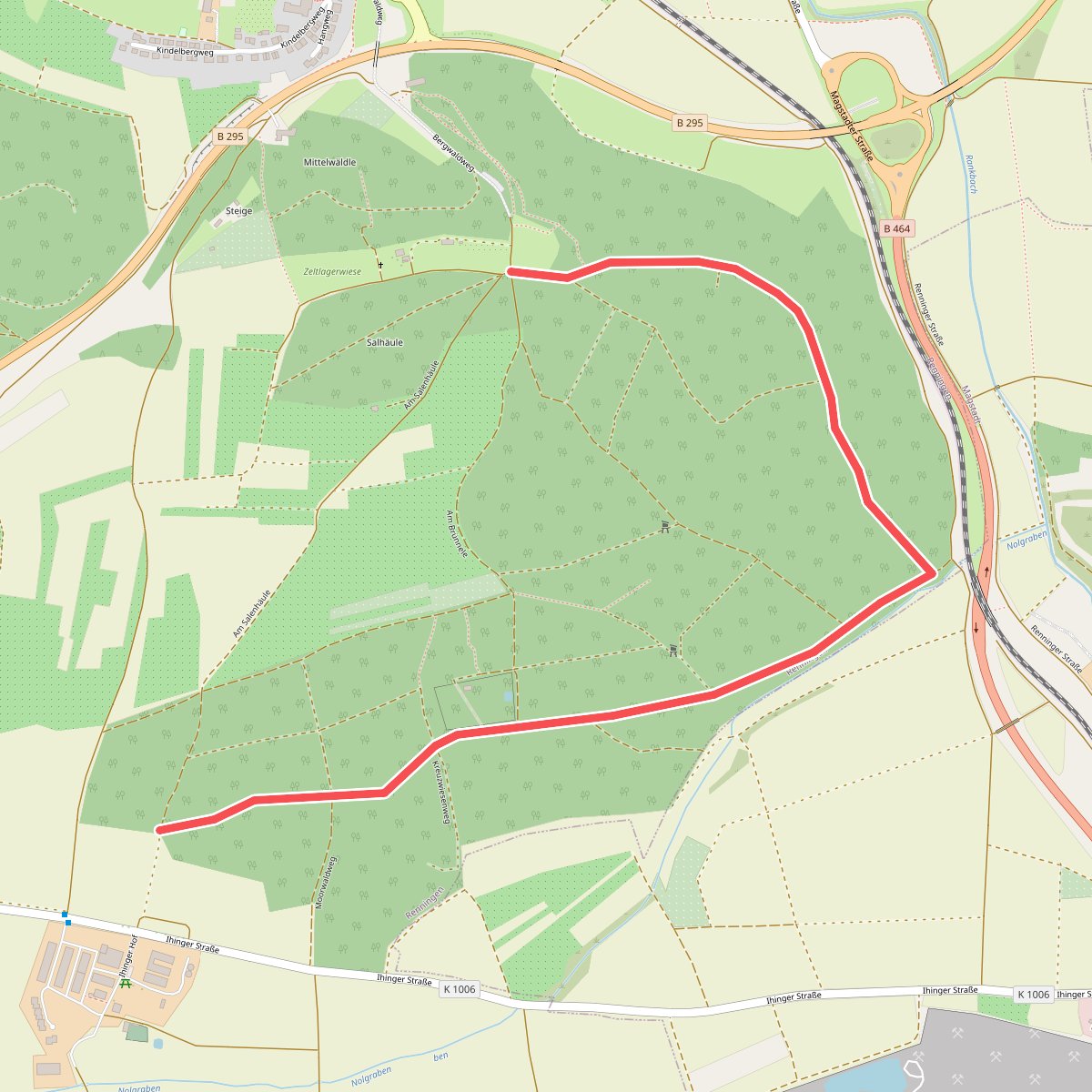Moorwald-Bergwald