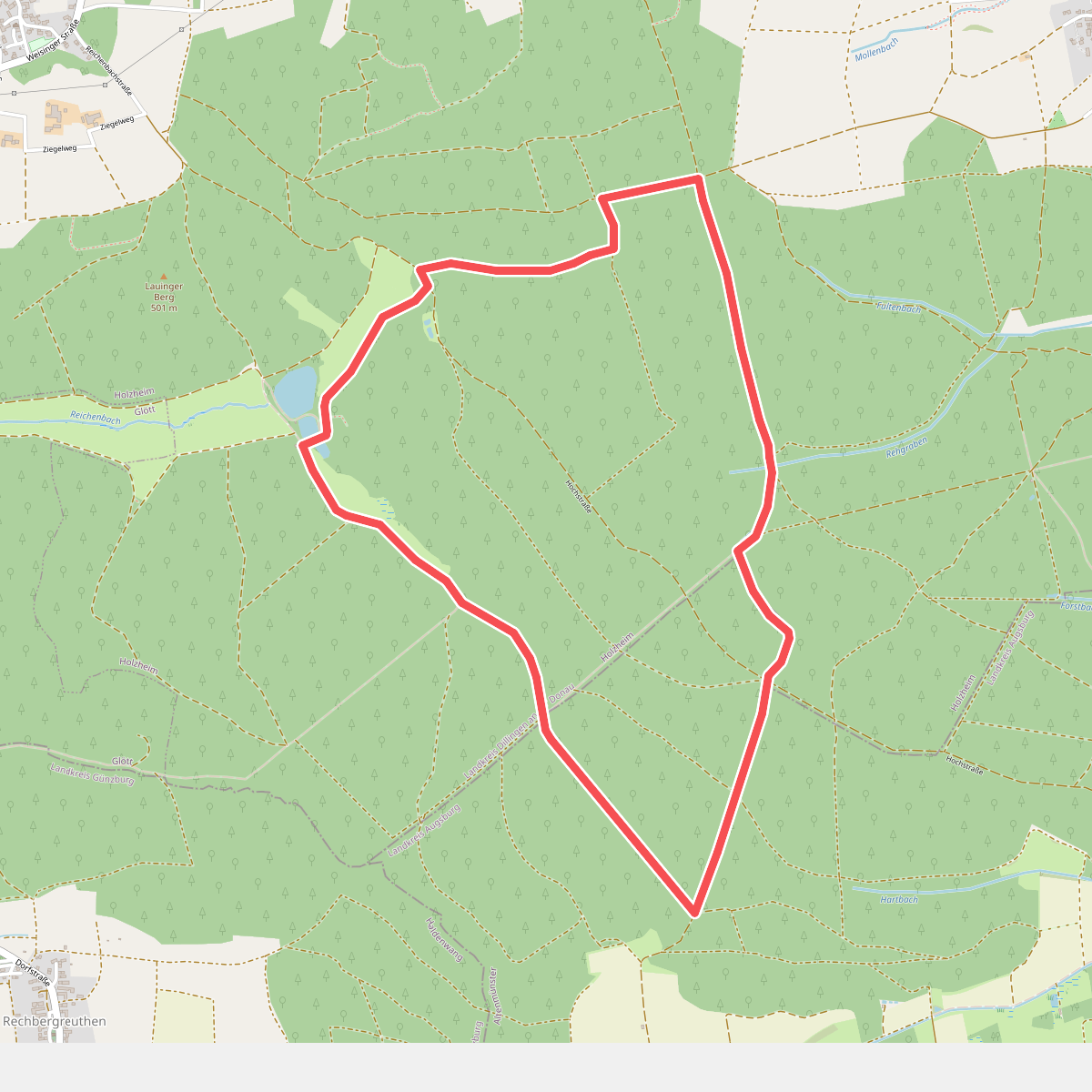 Rundum im Weisinger Forst