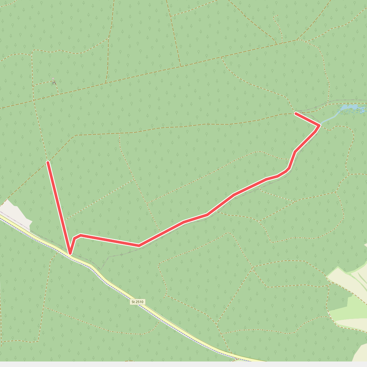 Rundweg im Landensberger Forst