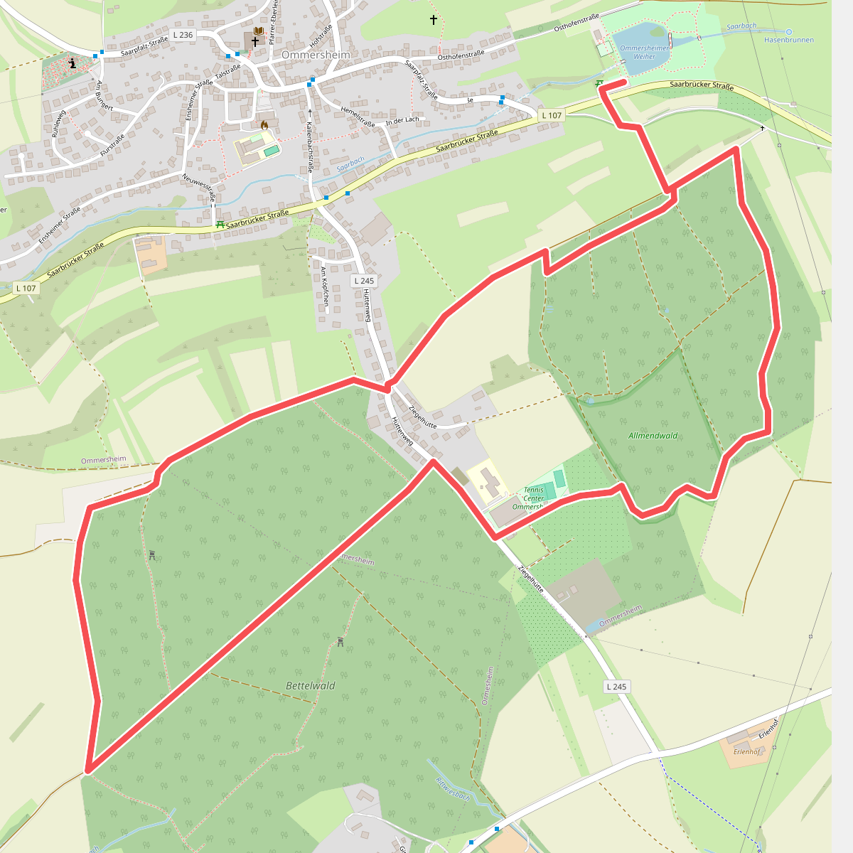 Bettelwald Weg