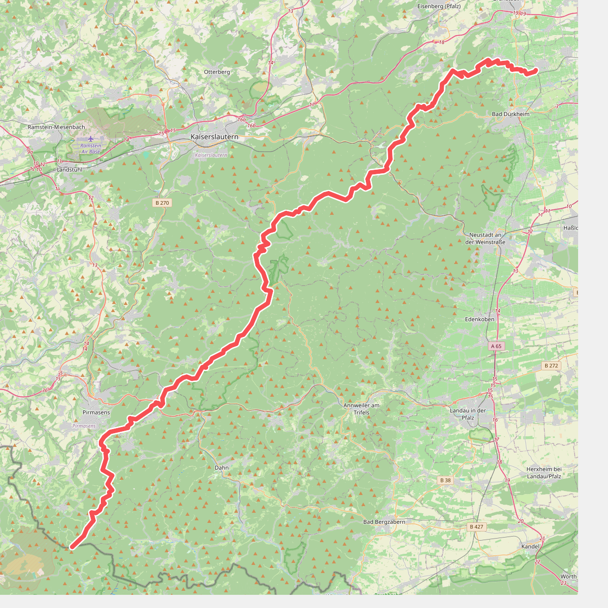 Pfälzerwald Grünes Kreuz