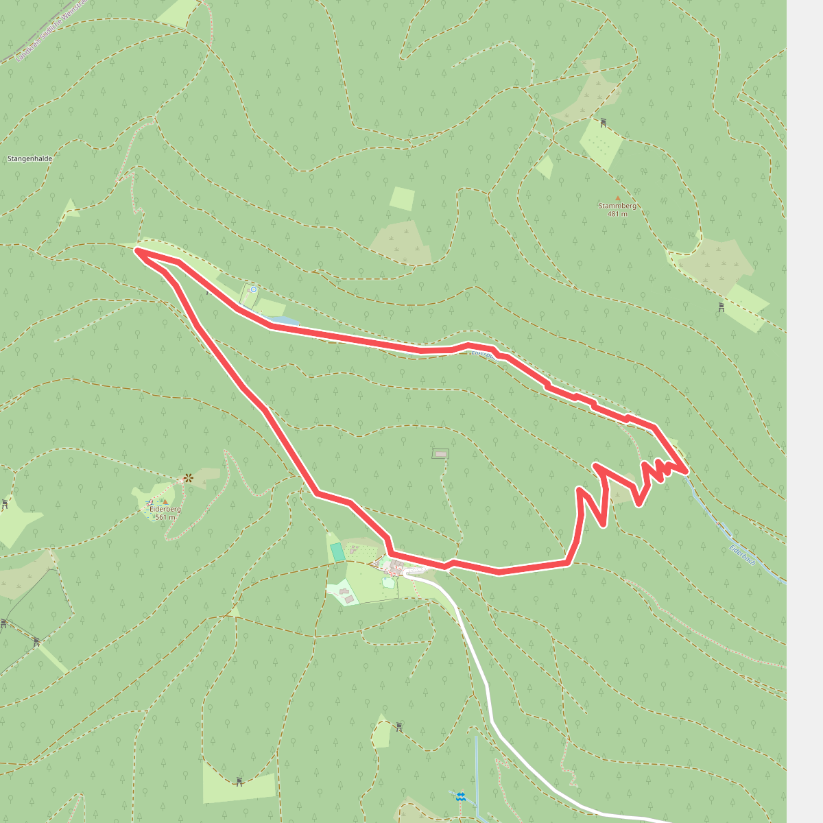 Rundwanderweg Forsthaus Annweiler 5