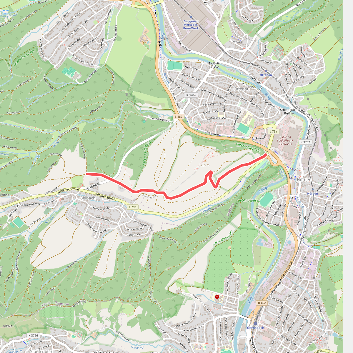 Am Langenberg - Selbacher Höhe