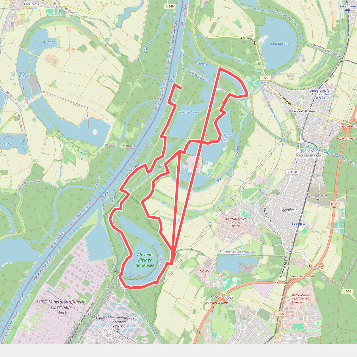 RheinAUen-naturbeobachtungs-PfadE (RAUPE)