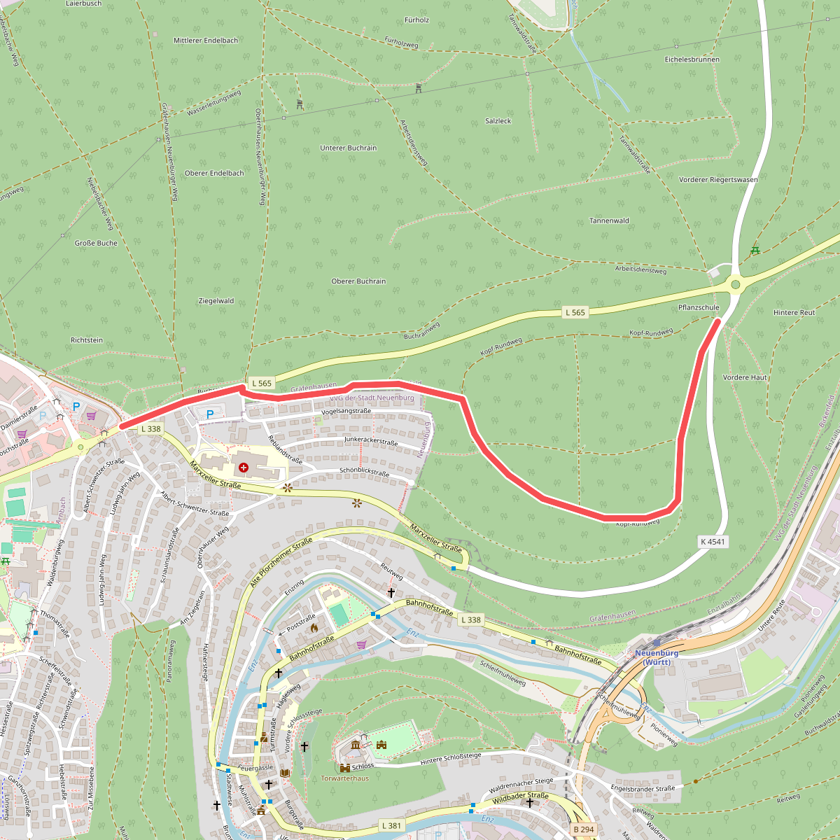 Riegertswasen - Neuenbürg Wilhelmshöhe