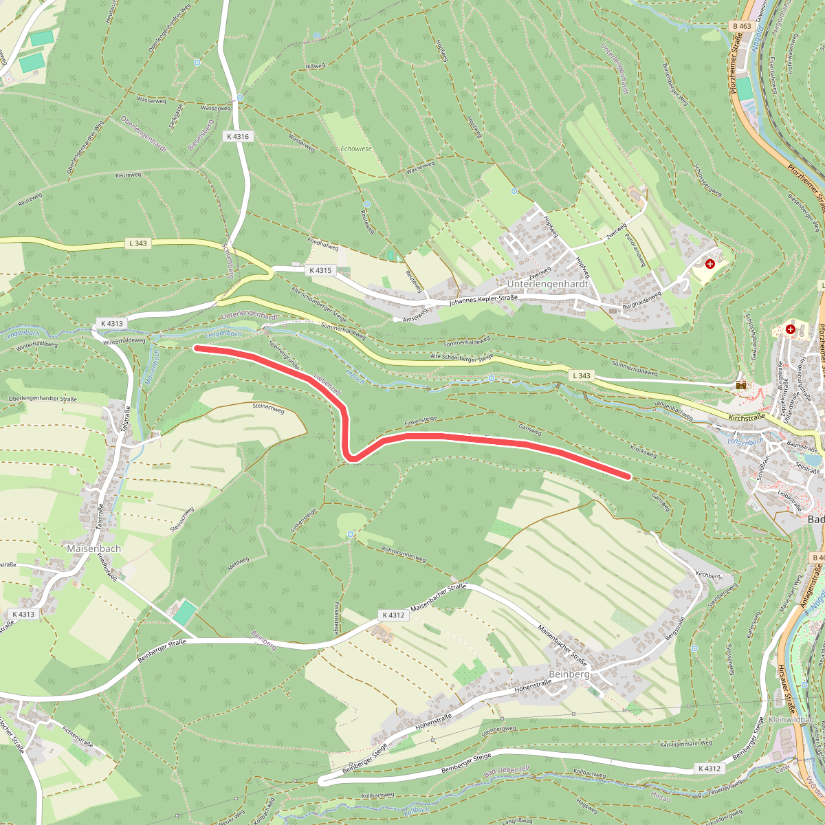 Steinachwald - Oberer Finkenberg