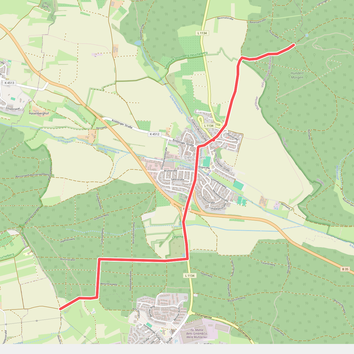 blauer Punkt Lienzingen