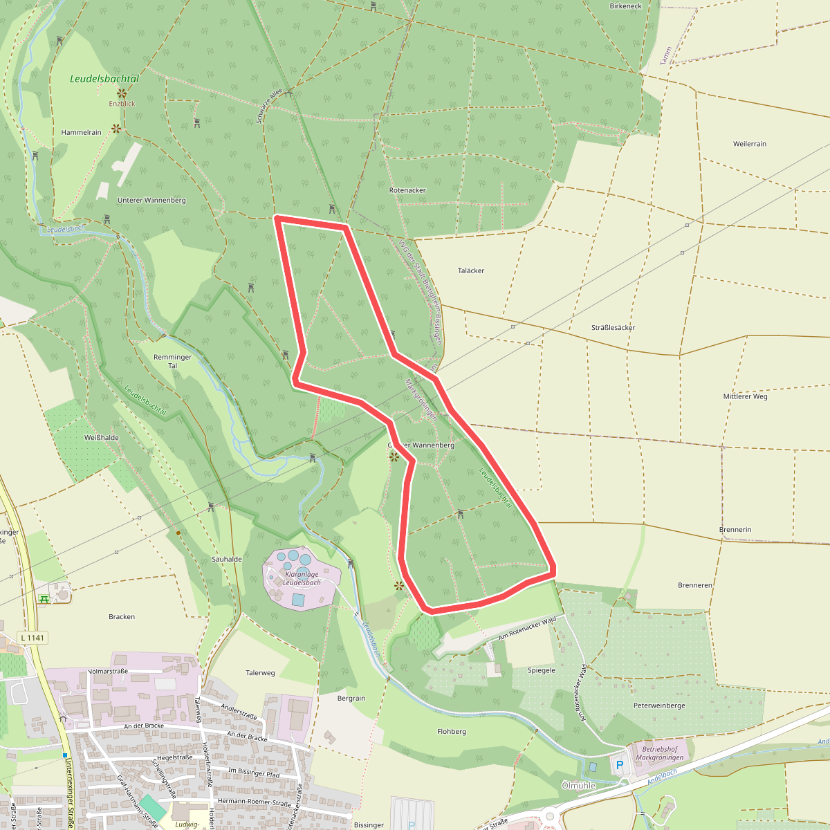 Waldlehrpfad "Rotenacker Wald"