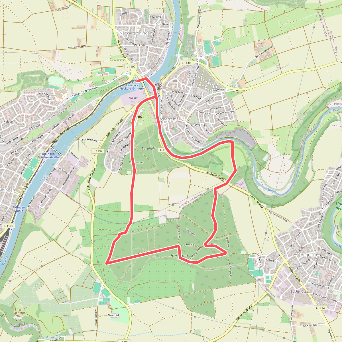 Rundwanderweg 4 (Specht)