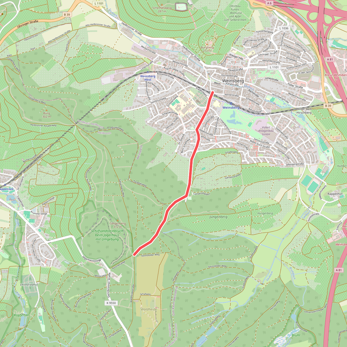 blauer Punkt Waldheide Weinsberg