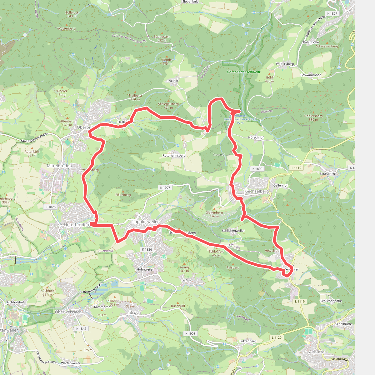 Auenwald - Rundwanderweg 1