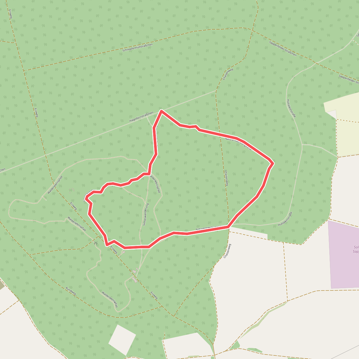 Naturentdeckungsreise Walderlebniszentrum Schernfeld