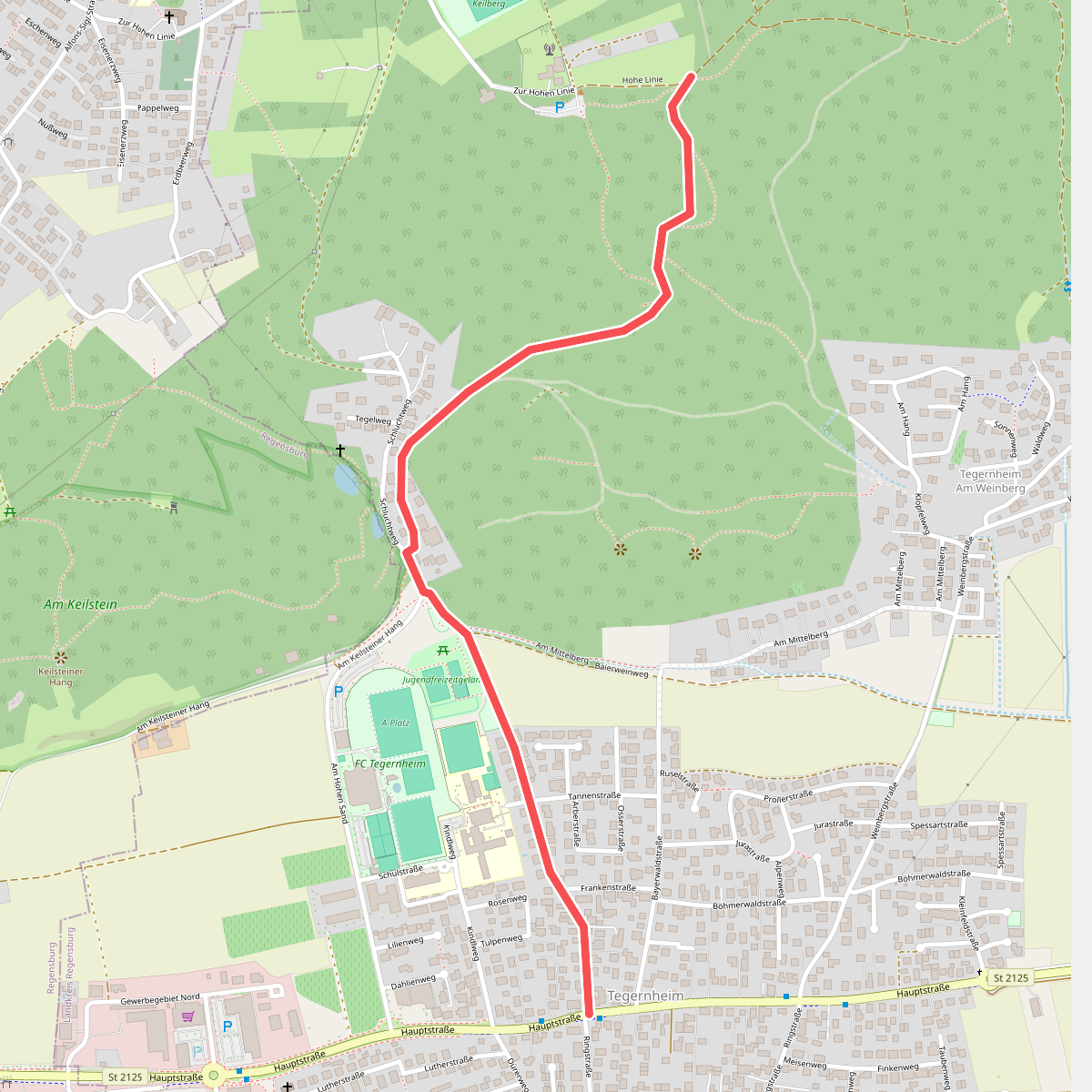 O 05 Tegernheim - Hohe Linie (Rotes Rchteck)