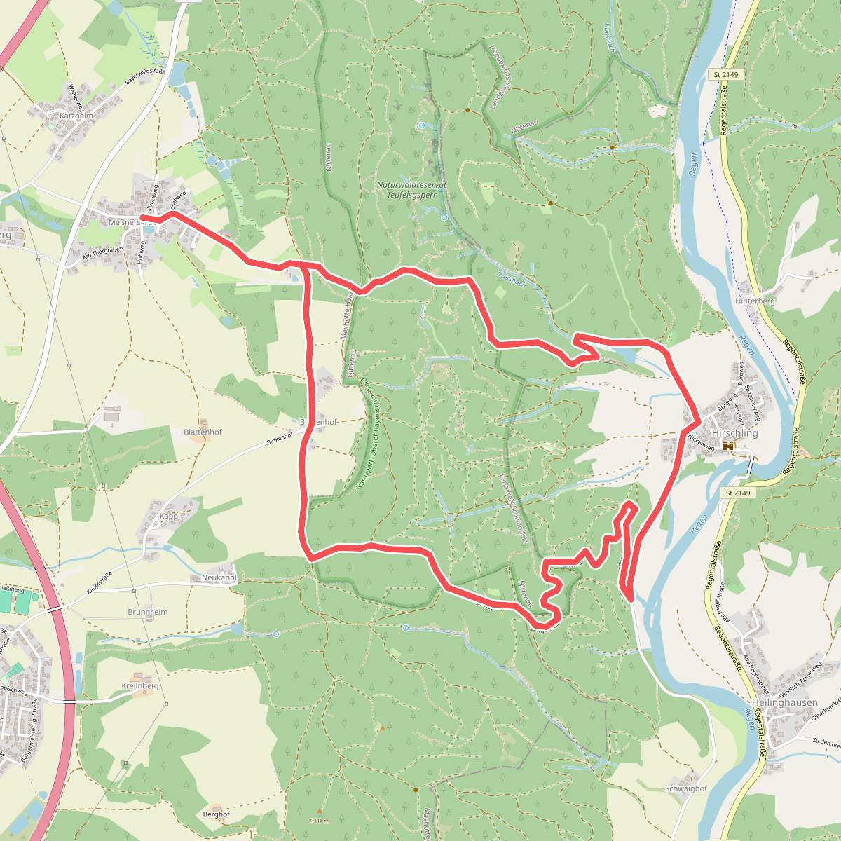 Regentalsteig nach Hirschling (Gelbe 8)