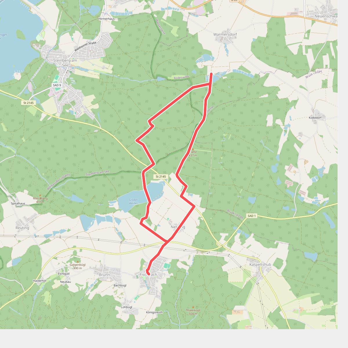 Wilder Mann 007, St. Koloman-Wanderweg, Naturpark Vorderer Bayerischer Wald