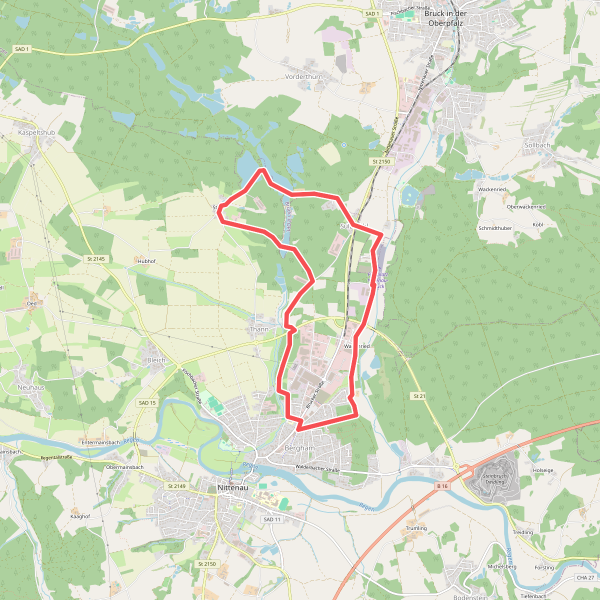 Wilder Mann 008, Naturpark Vorderer Bayerischer Wald