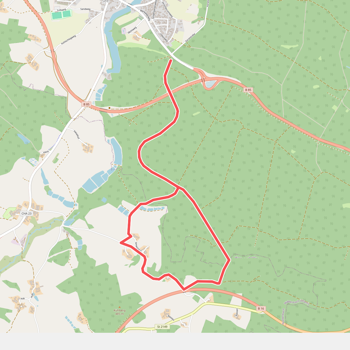 Wilder Mann 055, Naturpark Vorderer Bayerischer Wald
