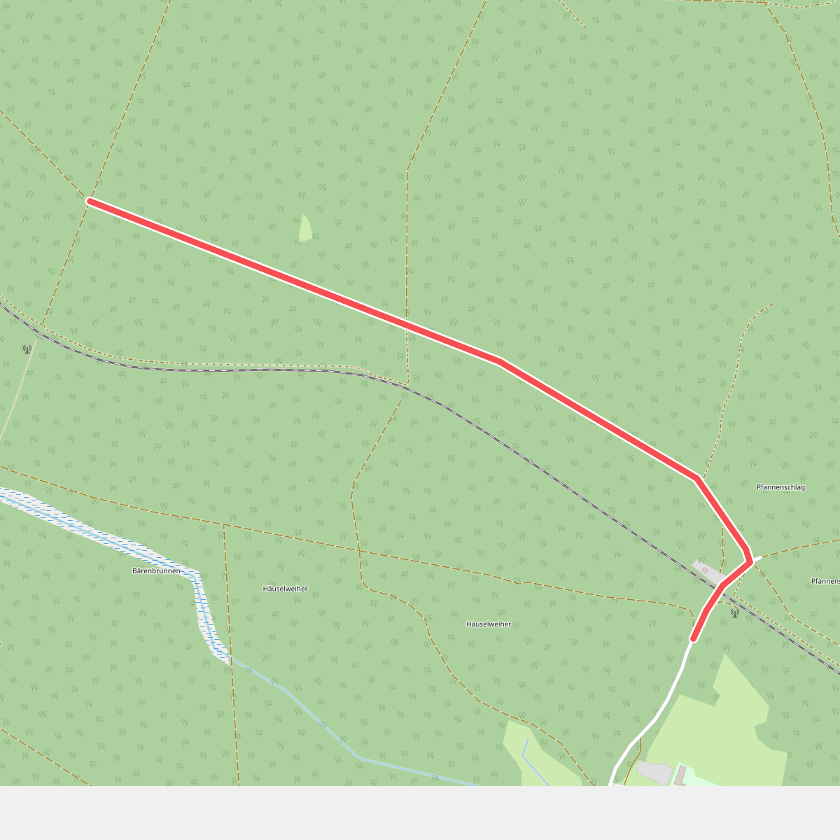Wilder Mann 058, Naturpark Vorderer Bayerischer Wald