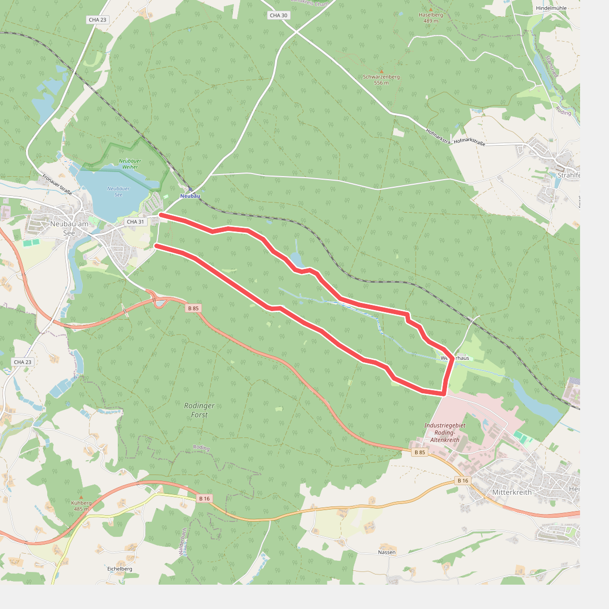 Wilder Mann 059, Naturpark Vorderer Bayerischer Wald