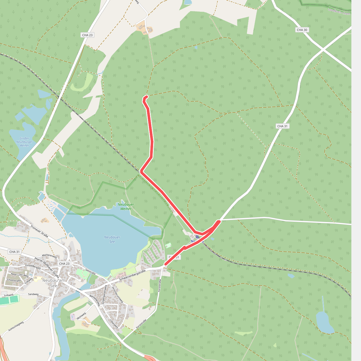 Wilder Mann 136, Naturpark Vorderer Bayerischer Wald