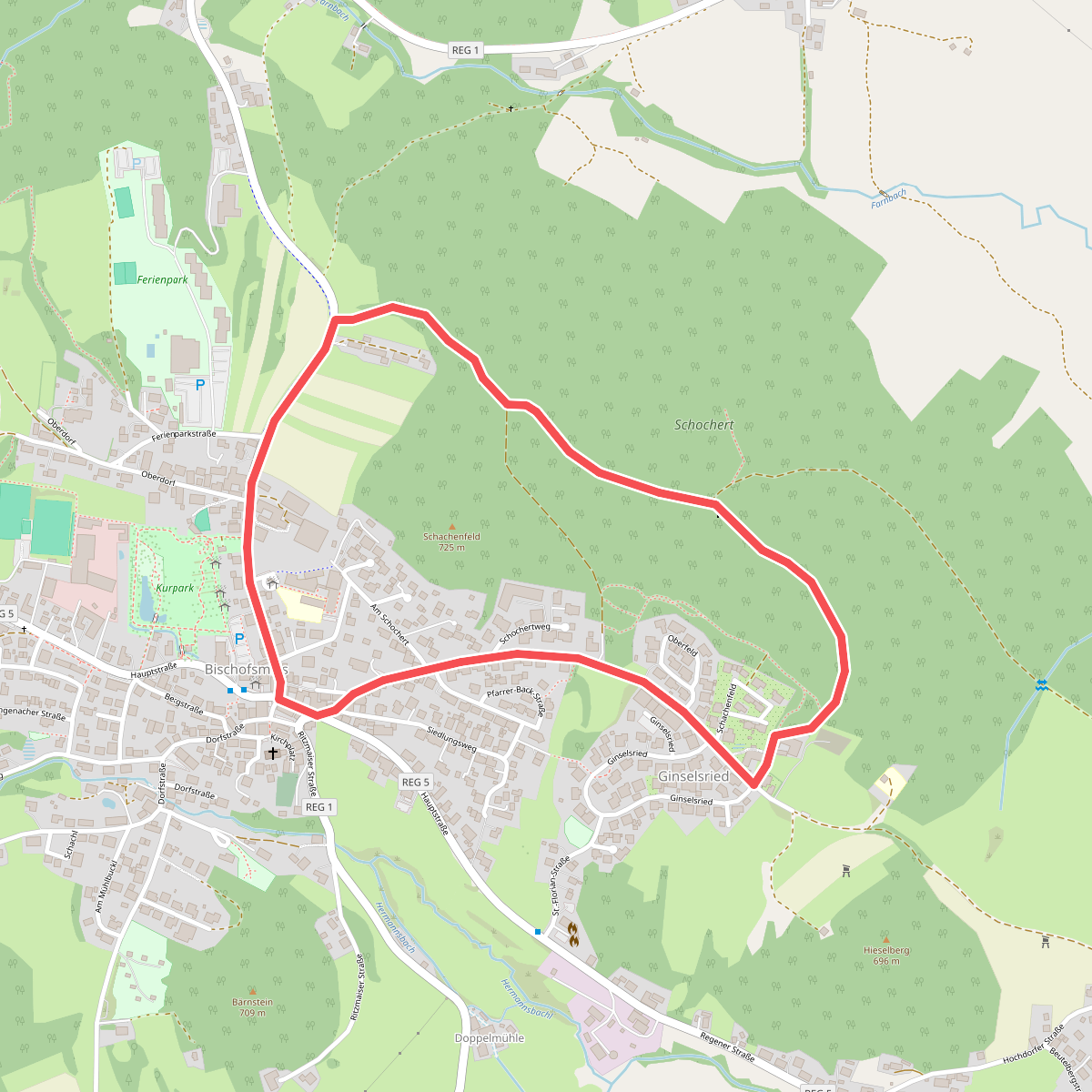 Bischofsmais Nr. 1