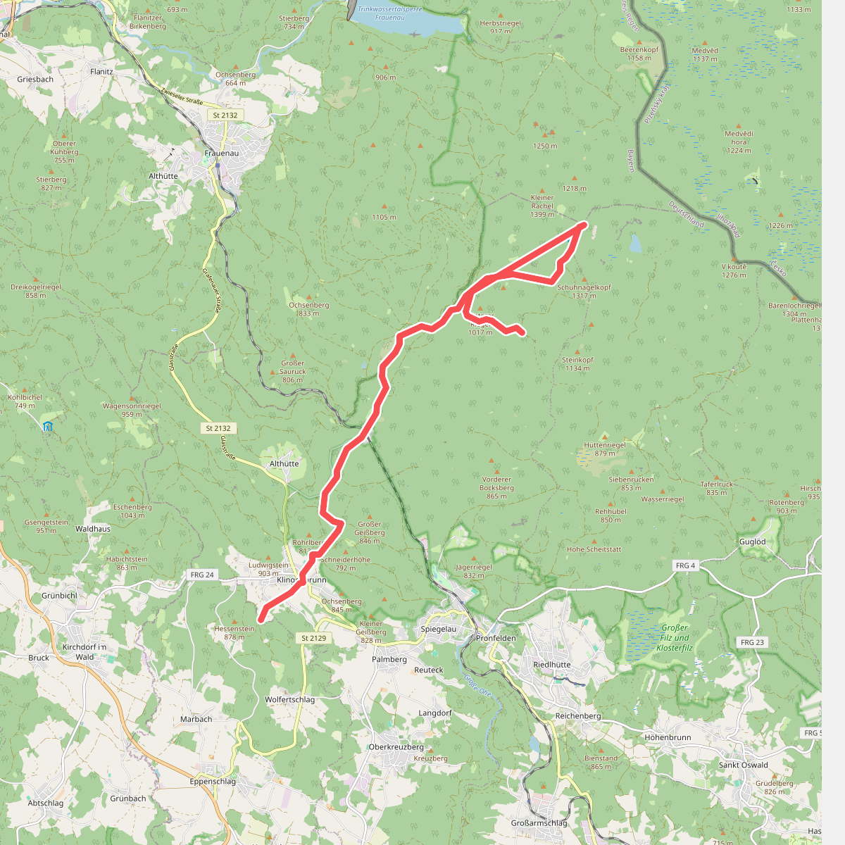 Bärlapp