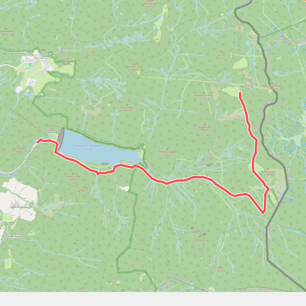 Borstgras