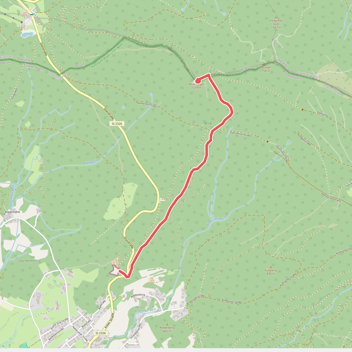Arnbruck: Ab8 - Mühlriegel Steig