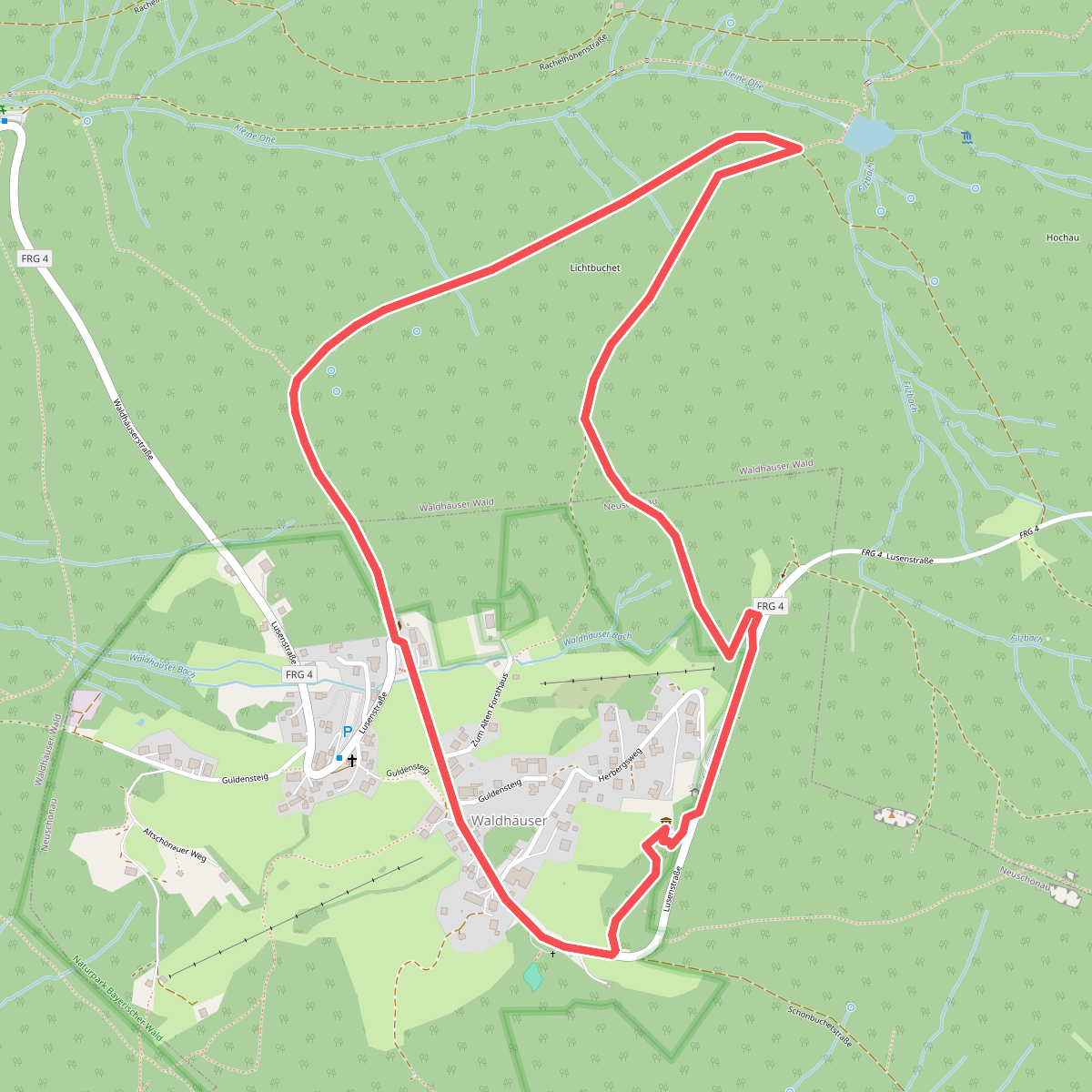 Zaunkönig