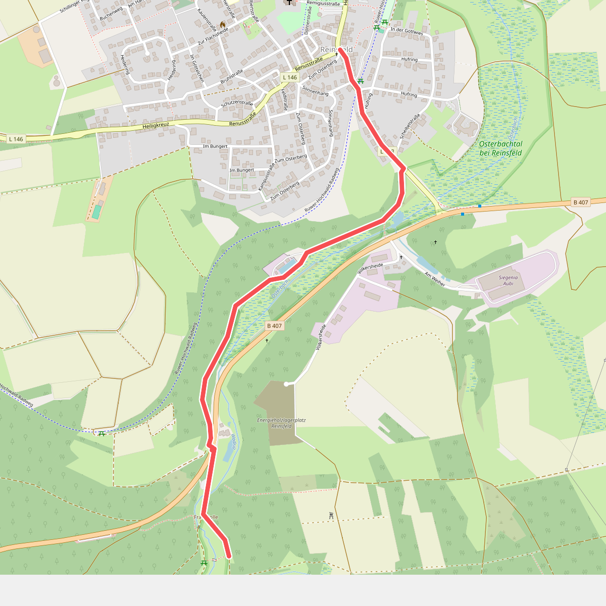 Zuweg Saar-Hunsrück-Steig nach Reinsfeld
