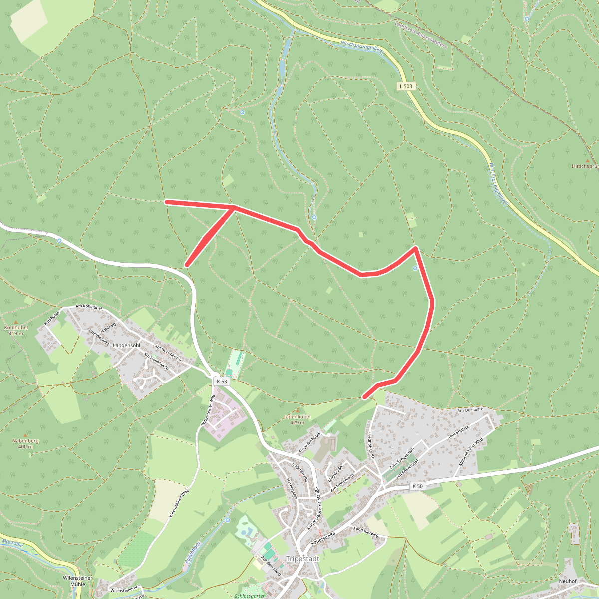 NordicWalking Trippstadt 2