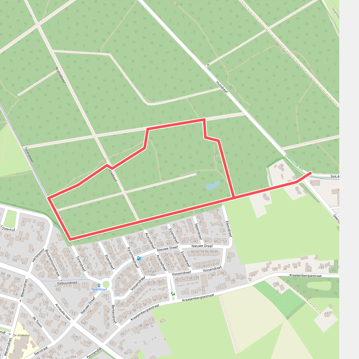 Wandelroute familiepad Ulvenhoutse Bos