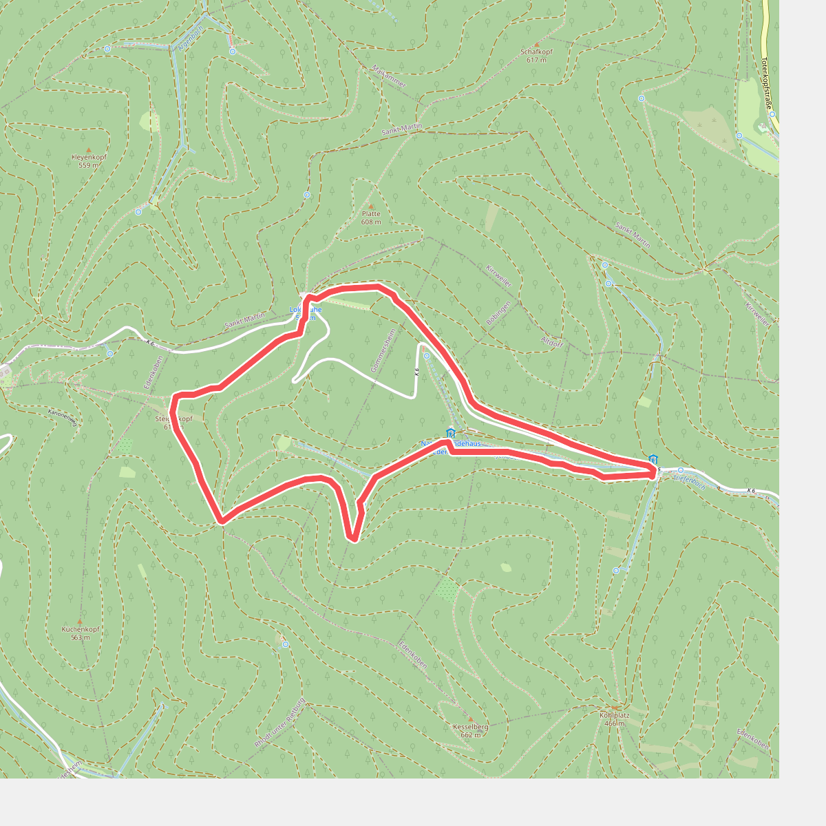 Edenkoben Naturpark Pfälzerwald 5